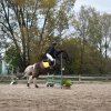 bABIE lATO 2018